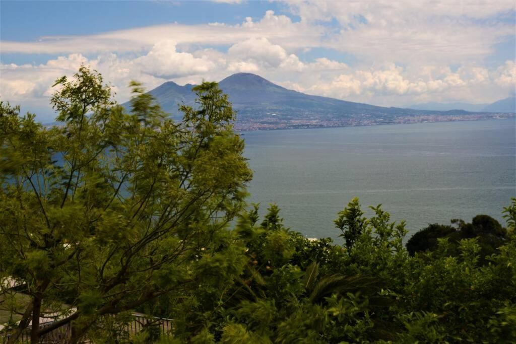 Posillipo Il Nido Sul Mare Apartment